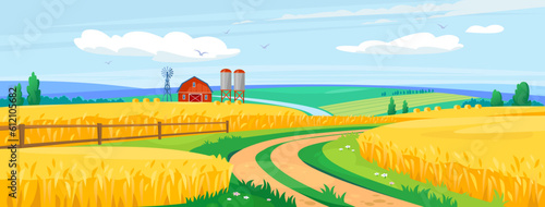 Landscape view of a crop field with a barn and a road. Rural harvest scene with beautiful golden wheat. Poster of beautiful countryside farmland with yellow crops in fall. Cartoon vector illustration