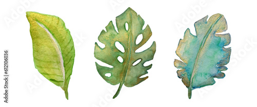 Tropical leaves set. Watercolor with gold. Vector illustration.