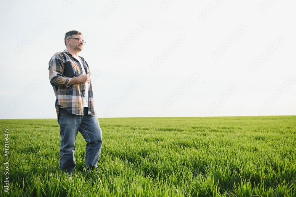 Portrait of senior farmer standing in green wheat field. Portrait of senior farmer standing in green wheat field.
