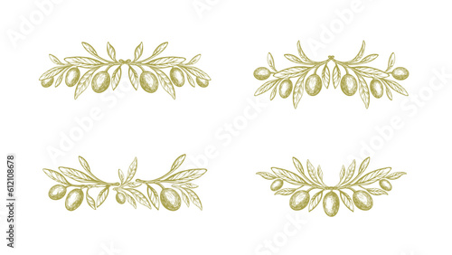 Olive symbol. Vector fruit, green leaves, branch