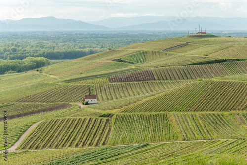 Eichert Kapelle in the vineyard in spring. photo