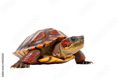 Mary River turtle, generative artificial intelligence © Tor Gilje