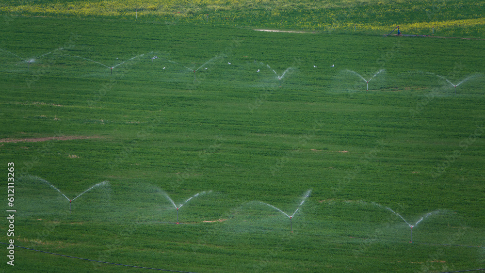 Agricultural irrigation in the fertile plains of Gökçeada, Canakkale