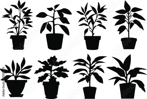 Set of potted plants. Potted plant icons set. Potted plant silhouettes. Vector illustration.