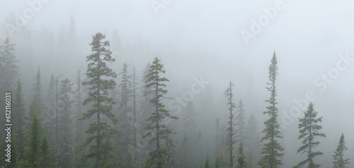 Mountain range. Misty mountains hills after the rain. Fog in the mountains. The summer downpour over the green forest