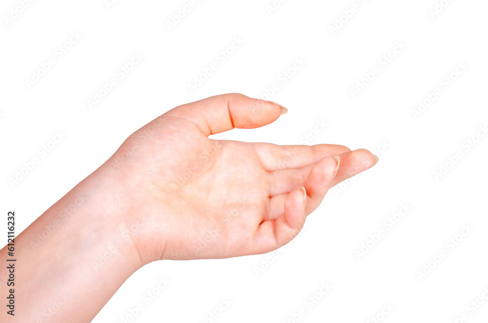 Empty open woman hand on white background. Empty open woman hand on white background.
