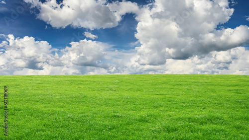 Spring landscape with wonderful cloudy sky and green grass - generative ai