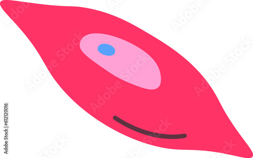 Smooth Muscle Human Cell