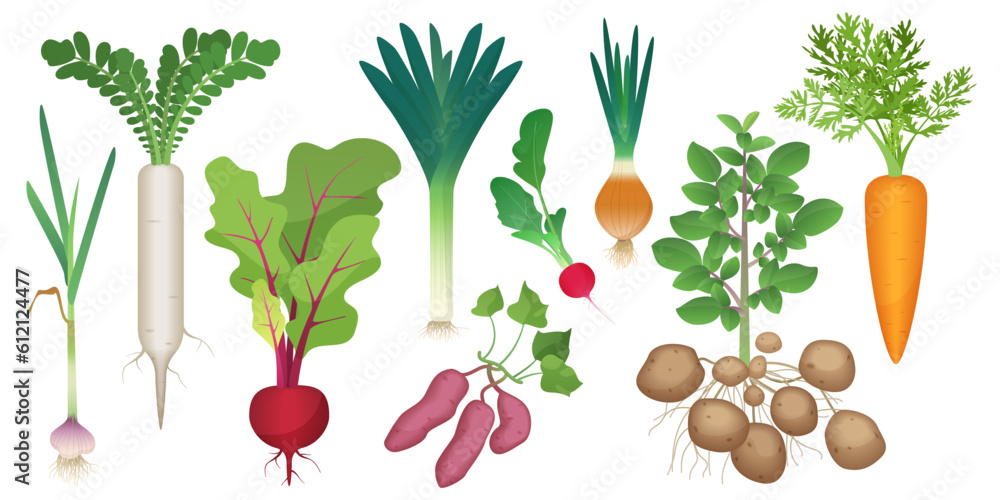 Image result for legumes desenho  Vegetable cartoon, Vegetable