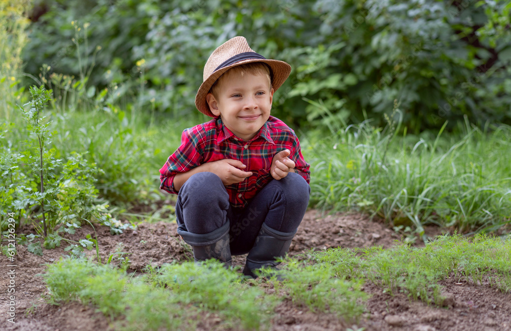 A little boy dressed as a farmer sits near a dill patch and loosens the soil. Organic farming concept A little boy dressed as a farmer sits near a dill patch and loosens the soil. Organic farming concept
