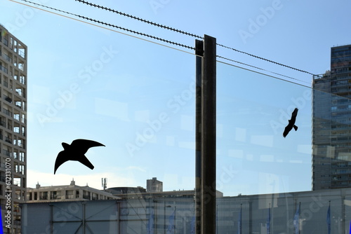 Bird silhouette stickers on a glass screen wall for preventing birds from hitting