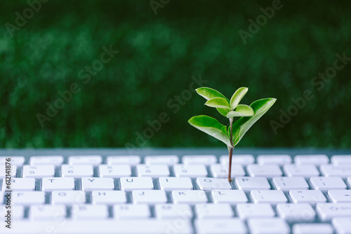 Green information technology. Environmentally Sustainable IT. Copy space. Green plant growing on laptop computer keyboard with green background. Environment green technology.