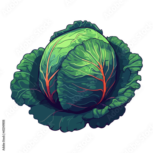 Fresh vegetable cabbage green ingredients