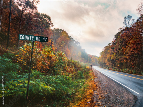 A county road sign along a straight country road in rural Alabama on a foggy autumn morning.