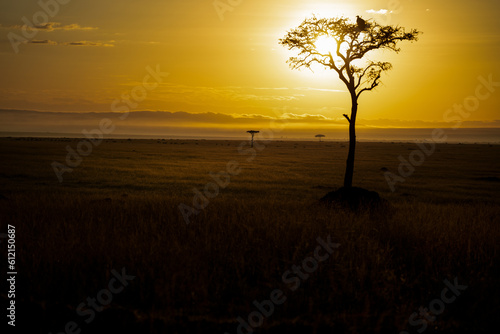 sunrise over Africa