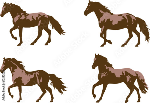 Horses in various poses . Set of vector illustration isolated on white background