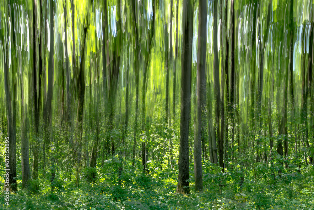 green trees motion blur green trees motion blur