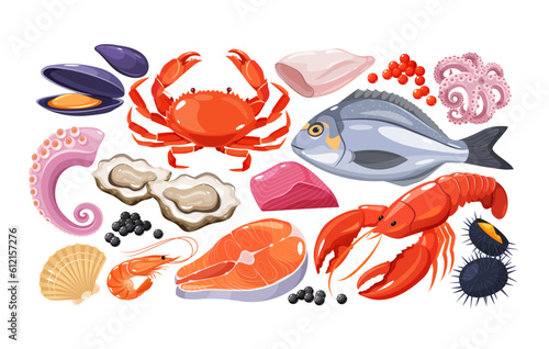 Vector colorful collection of seafood 
