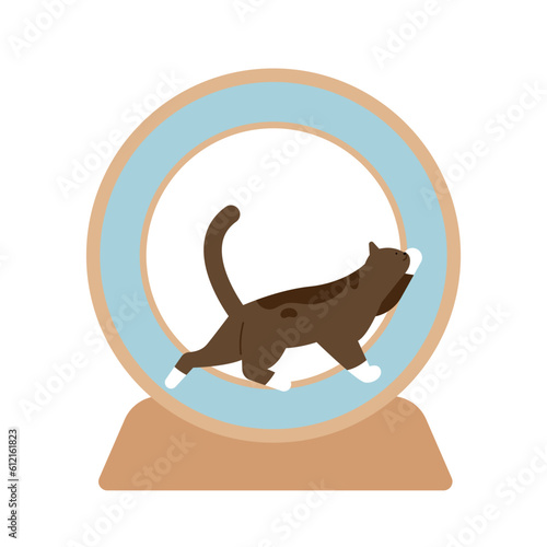 cat supplies. A cat running on a cat wheel.