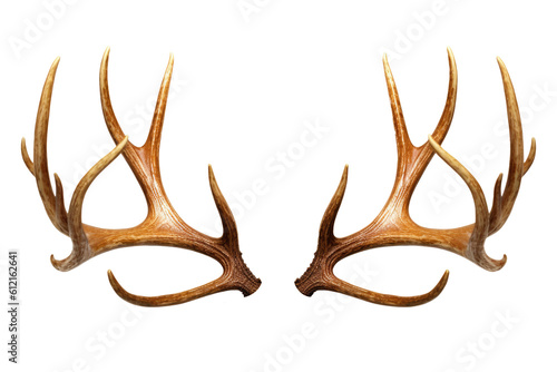 Antlers Isolated on Transparent Background - Generative AI 
