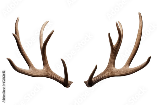 Antlers Isolated on Transparent Background - Generative AI    © RenZen