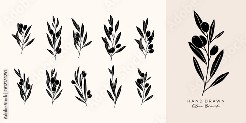 Olive Branch for olive oil logo or olive icon, hand drawn olive branch botanical herbs elements in vector format, floral olive frame and border