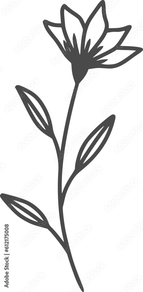 Obraz premium wildflowers, flowers, outline, illustrations, floral, design, vector