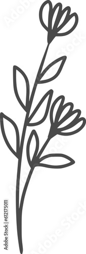 wildflowers, flowers, outline, illustrations, floral, design, vector