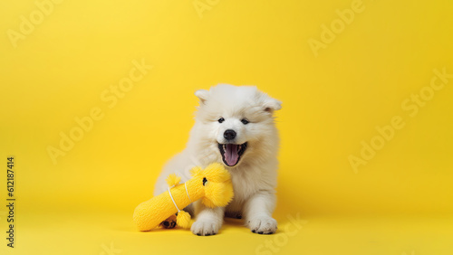 Samoyed dog on yellow background with copy space (Generative AI)