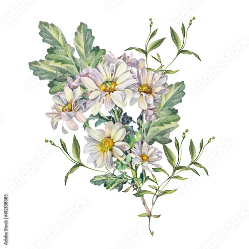 Fototapeta Naklejka Na Ścianę i Meble -  Watercolor chrysanthemum daisy chamomile with green leaves isolated on white background. Hand-drawn summer bloom flower for florist. Clipart for celebration wedding wrapping textile, coloring book