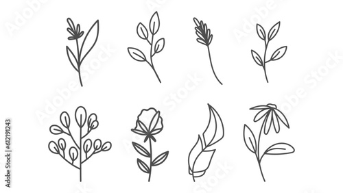 floral set with flowers and leaves. vector illustration    isolated on white background   illustration Vector EPS 10