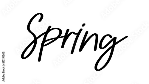 hand drawn spring phrase. spring greeting card with text. , isolated on white background , illustration Vector EPS 10