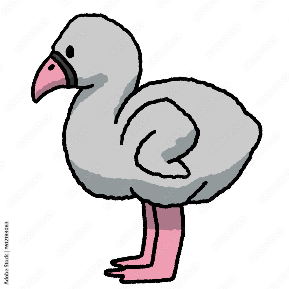 Fototapeta premium フラミンゴ