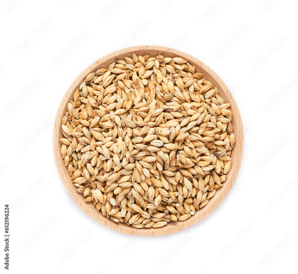 top view overhead flat lay malt barley grain beer whole in wood plate isolated on white background. pile of malt barley grain beer whole isolated. heap of malt barley grain beer whole isolated top view overhead flat lay malt barley grain beer whole in wood plate isolated on white background. pile of malt barley grain beer whole isolated. heap of malt barley grain beer whole isolated
