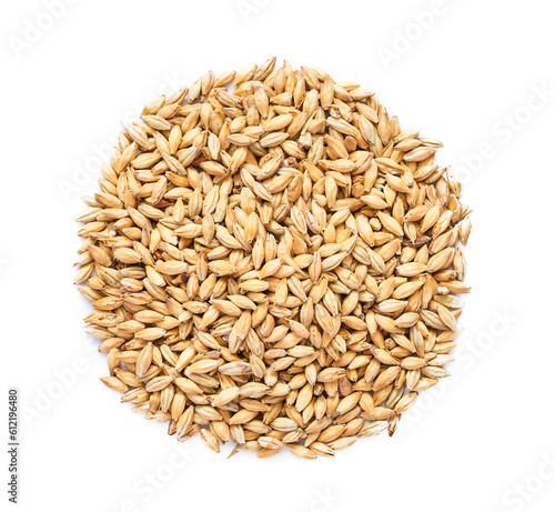 top view overhead flat lay malt barley grain beer whole isolated on white background. pile of malt barley grain beer whole isolated. heap of malt barley grain beer whole isolated