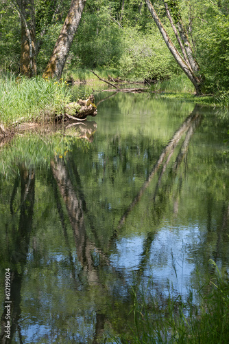 la Versoix, rivière sauvage