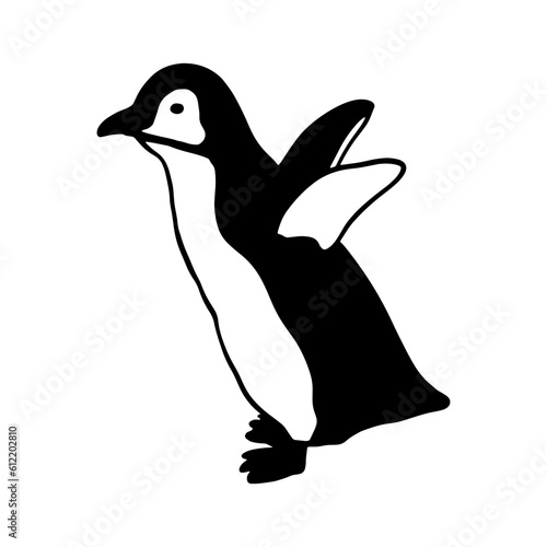 Cute Penguin. Monochrome vector illustration. Realistic animal