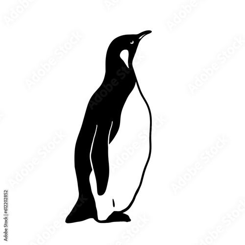 King Penguin. Monochrome vector illustration. Realistic animal