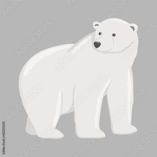 Adult polar bear. Vector flat cartoon illustration isolated on white background. The North animal.