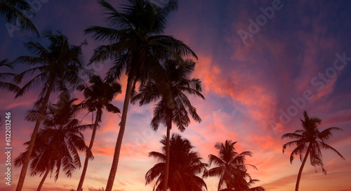 Summer with colorful theme as palm trees background as texture frame background