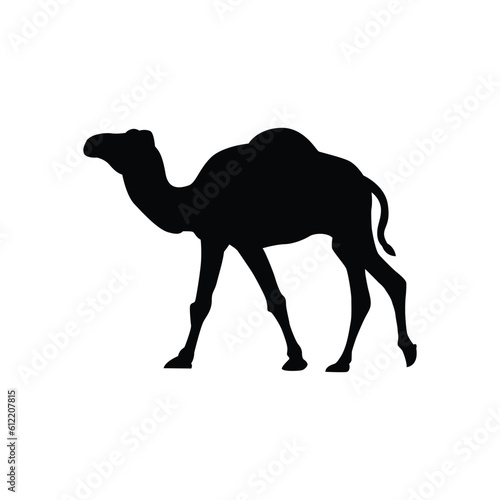 Camel silhouette illustration design  camel silhouette isolated  print and decoration