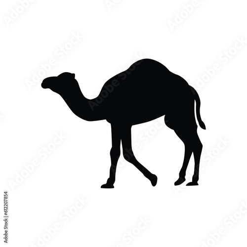 Camel silhouette illustration design  camel silhouette isolated  print and decoration