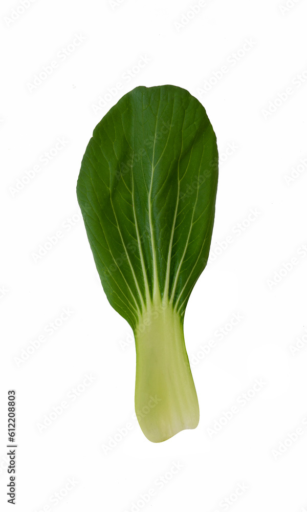 Pieces of mustard leaf isolated. Fresh healthy food element Pieces of mustard leaf isolated. Fresh healthy food element