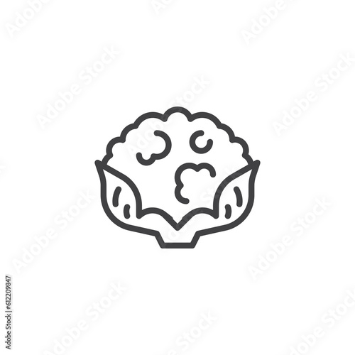 Cauliflower vegetable line icon