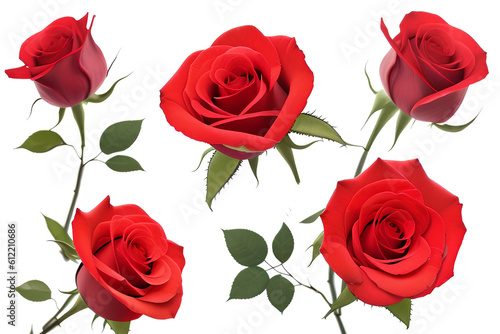 Roses flowers bouquet isolated on white background. Closeup. Generative AI