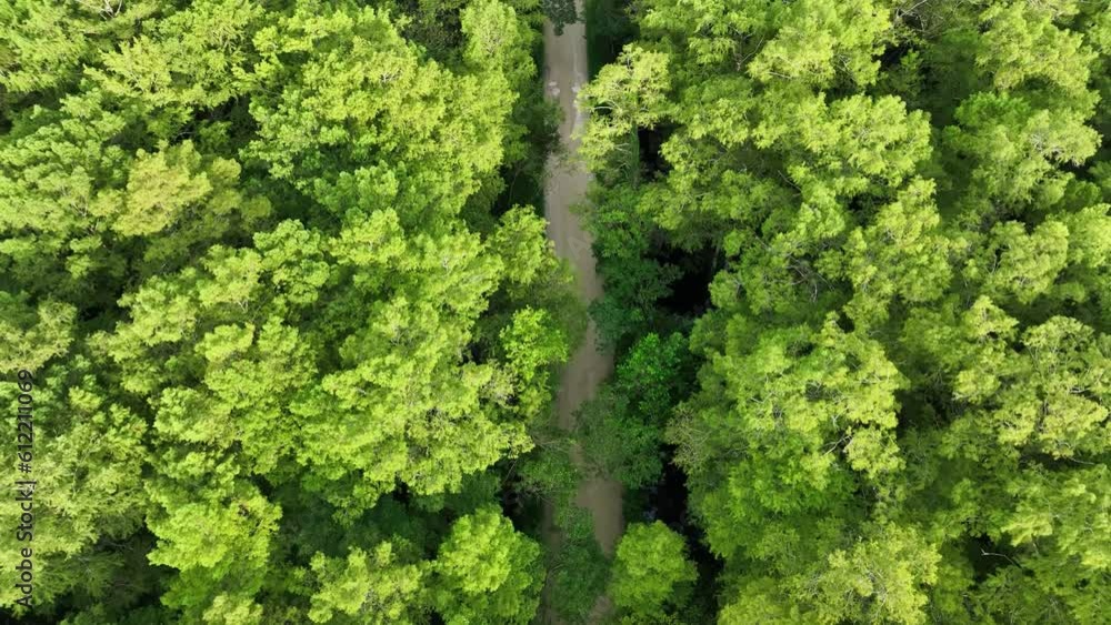 Aerial Birds Eye View Over a Road Through Mangrove Wetlands in Florida Everglades. Aerial Birds Eye View Over a Road Through Mangrove Wetlands in Florida Everglades.