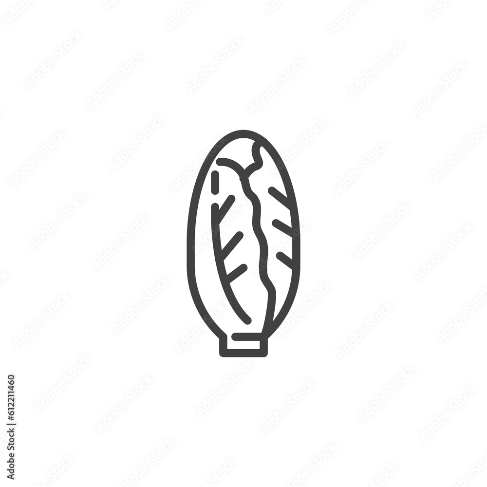 Endive vegetable line icon Endive vegetable line icon