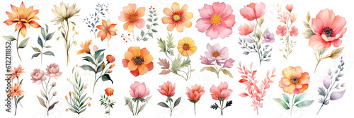Watercolor blush floral clipart , Watercolor collection of hand drawn flowers , Botanical plant illustration transparent background, PNG ,Generative AI