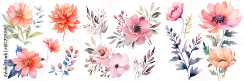 Watercolor blush floral clipart   Watercolor collection of hand drawn flowers   Botanical plant illustration transparent background  PNG  Generative AI