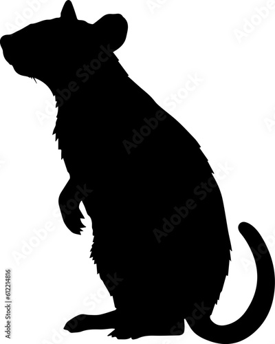 Silhuette rat animal images